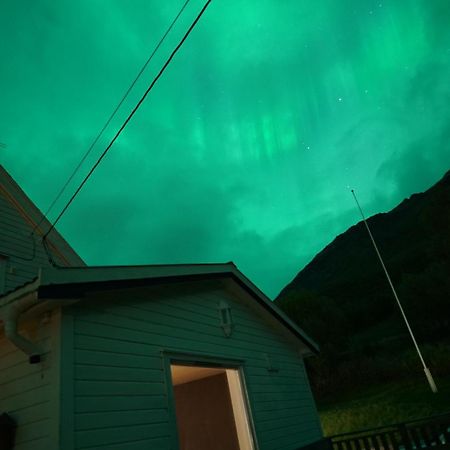 极光民宿northern Lights Laksvatn Zewnętrze zdjęcie