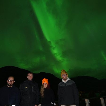 极光民宿northern Lights Laksvatn Zewnętrze zdjęcie