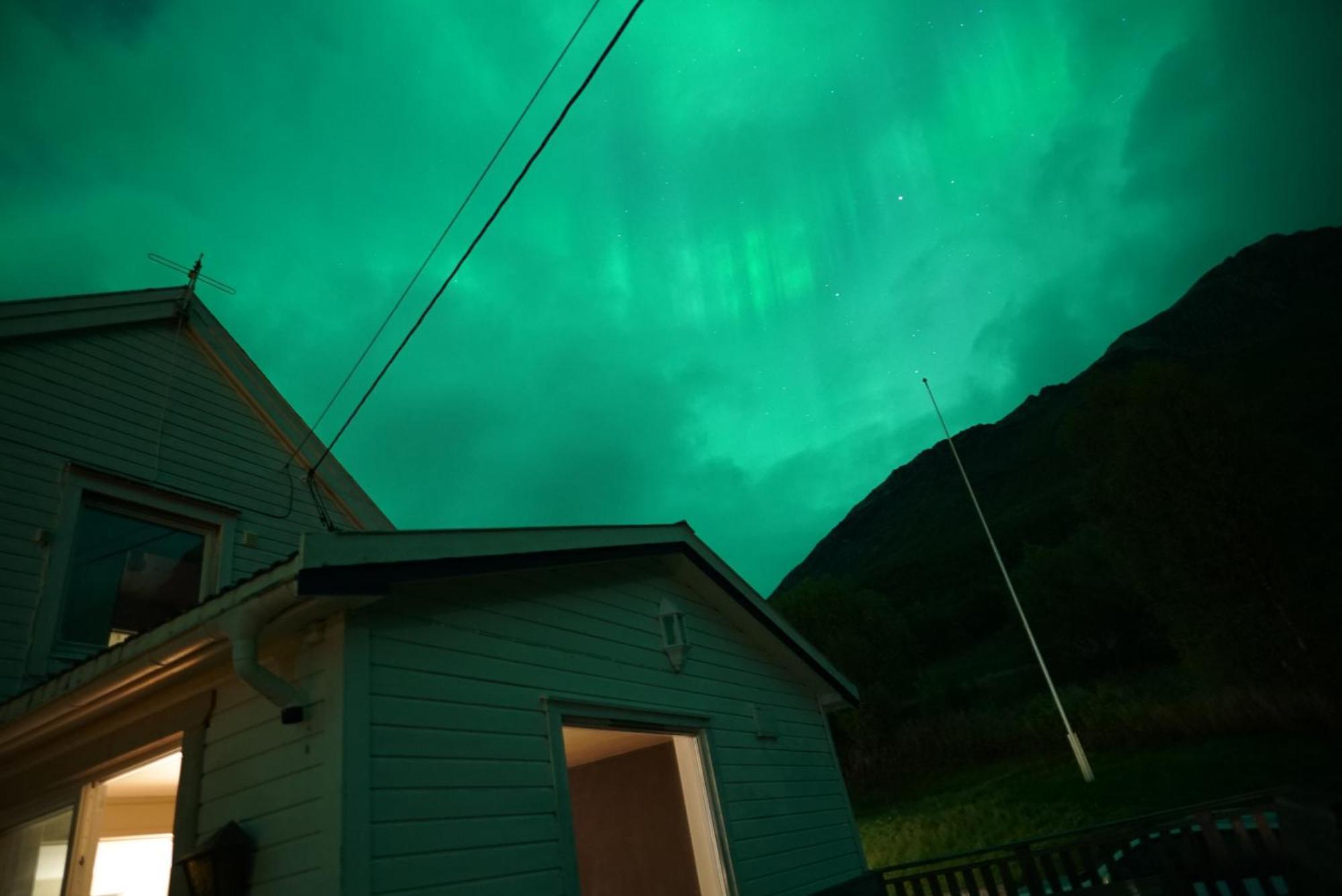 极光民宿northern Lights Laksvatn Zewnętrze zdjęcie